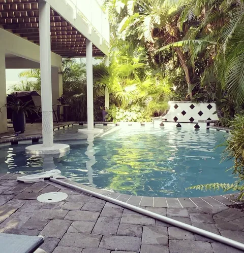 Tropical pool framed by columns